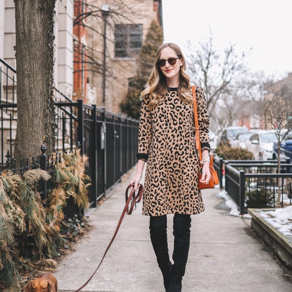 J. Crew Dresses & Skirts - J Crew Leopard Sweater Dress Long Sleeve Tan Black